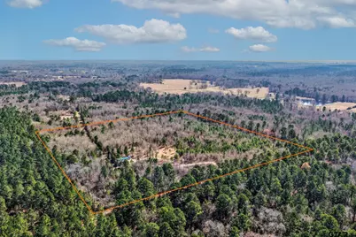 1462 Mole Road, Winnsboro, TX 75494 - Photo 5