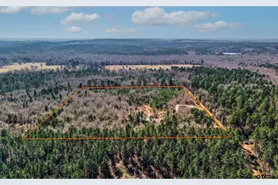 1462 Mole Road, Winnsboro, TX 75494 - Photo 7