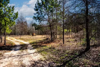 1462 Mole Road, Winnsboro, TX 75494 - Photo 43