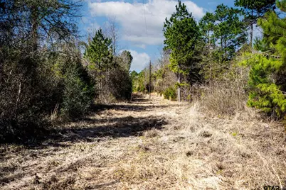 1462 Mole Road, Winnsboro, TX 75494 - Photo 41