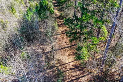 1462 Mole Road, Winnsboro, TX 75494 - Photo 15