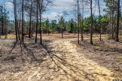 1462 Mole Road, Winnsboro, TX 75494 - Photo 23