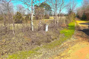 11 Ac Cr 2620 & Cr 2621, Hughes Springs, TX 75656 - Photo 7