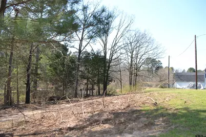 Lot 128, 144 County Road 2123, Quitman, TX 75783 - Photo 3