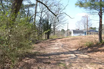 Lot 128, 144 County Road 2123, Quitman, TX 75783 - Photo 13