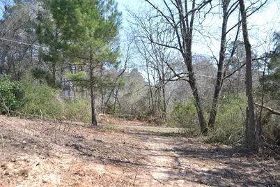 Lot 128, 144 County Road 2123, Quitman, TX 75783 - Photo 5