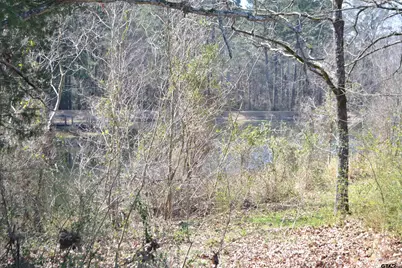 Lot 128, 144 County Road 2123, Quitman, TX 75783 - Photo 11