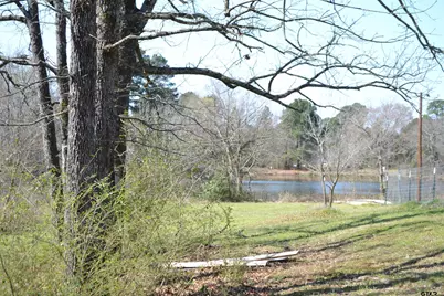 Lot 128, 144 County Road 2123, Quitman, TX 75783 - Photo 9