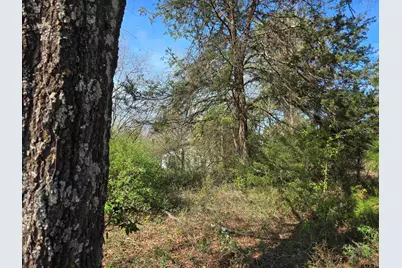 Tbd Cr 2312, Pittsburg, TX 75686 - Photo 3