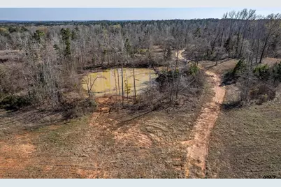 0 Back Forty, Whitehouse, TX 75791 - Photo 9