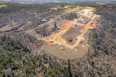 0 Back Forty, Whitehouse, TX 75791 - Photo 5