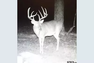 6888 Farm To Market 2888, Naples, TX 75568 - Photo 45