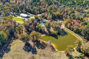 8545 N Fm 726, Diana, TX 75640 - Photo 47