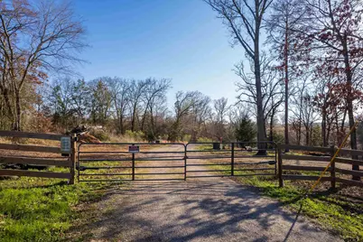 158 Private Road 52405, Pittsburg, TX 75686 - Photo 3