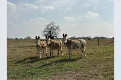 Tbd E Sh 204, Rusk, TX 75785 - Photo 15