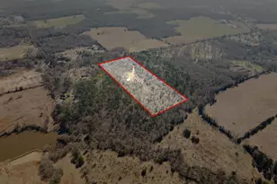 6524 Horse Rd, Gilmer, TX 75644 - Photo 1