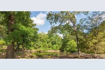 3640 Vz County Road 4907, Ben Wheeler, TX 75754 - Photo 21