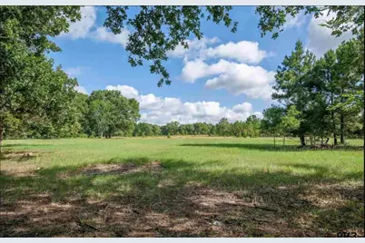 3640 Vz County Road 4907, Ben Wheeler, TX 75754 - Photo 23
