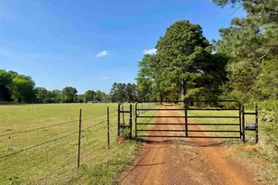 3640 Vz County Road 4907, Ben Wheeler, TX 75754 - Photo 39