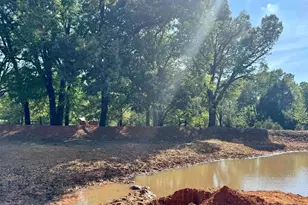 3640 Vz County Road 4907, Ben Wheeler, TX 75754 - Photo 37