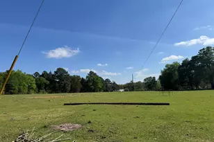 3640 Vz County Road 4907, Ben Wheeler, TX 75754 - Photo 5