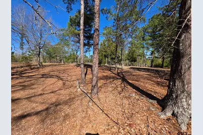 19502 Fm 14, Lindale, TX 75771 - Photo 29