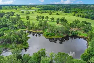 68(+/-) Acres Fm 773, Grand Saline, TX 75140 - Photo 1