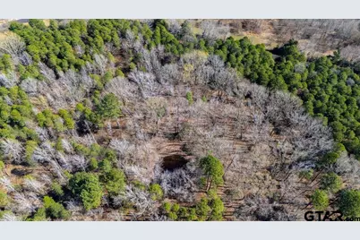 Tbd Cr 3986, Winnsboro, TX 75494 - Photo 11