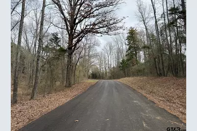 Tbd Cr 3986, Winnsboro, TX 75494 - Photo 13