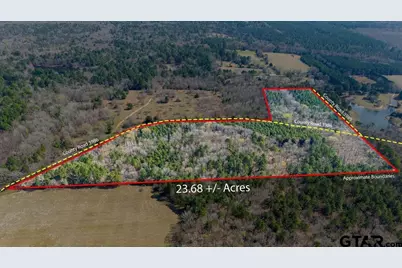 Tbd Cr 3986, Winnsboro, TX 75494 - Photo 3