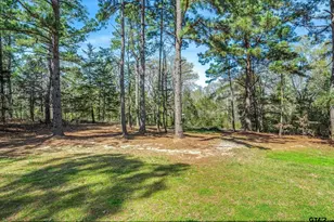 20251 Cr 4141, Lindale, TX 75771 - Photo 35