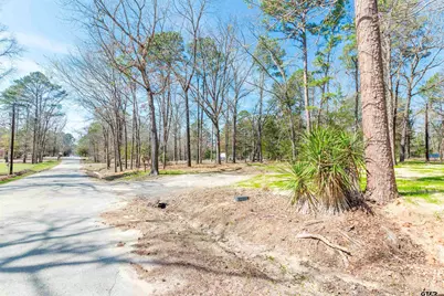 255 Cr 3496, Hawkins, TX 75765 - Photo 5