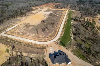 11202 Back Forty, Whitehouse, TX 75791 - Photo 11