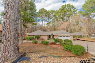 1633 Brookhollow, Hideaway, TX 75771 - Photo 43