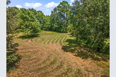 Tbd Fm 1519, Leesburg, TX 75451 - Photo 13