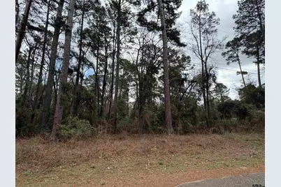 573 Janis Dr., Bullard, TX 75757 - Photo 7