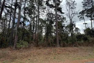 573 Janis Dr, Bullard, TX 75757 - Photo 7