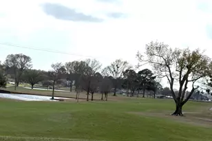 279 N Bay Dr Dr, Bullard, TX 75757 - Photo 37