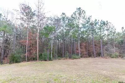 8199 Cr 314, Laneville, TX 75667 - Photo 37