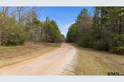 11631 Moser Ln, Whitehouse, TX 75791 - Photo 35