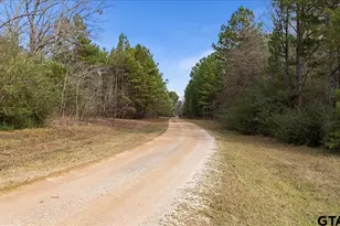 11631 Moser Ln, Whitehouse, TX 75791 - Photo 35