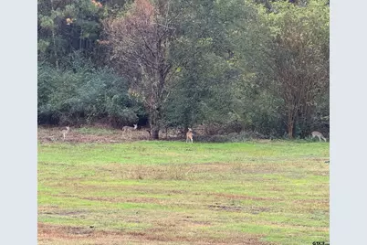 11631 Moser Ln, Whitehouse, TX 75791 - Photo 47