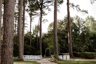 11631 Moser Ln, Whitehouse, TX 75791 - Photo 43