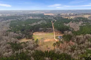 11631 Moser Ln, Whitehouse, TX 75791 - Photo 41