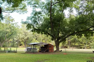 323 Co Rd 1519, Jacksonville, TX 75766 - Photo 13