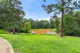 19678 C R 4125, Lindale, TX 75771 - Photo 43