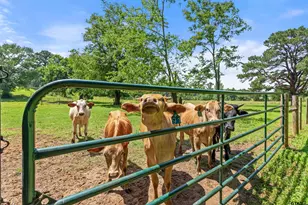 19678 C R 4125, Lindale, TX 75771 - Photo 39
