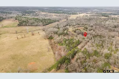 2605 Vz County Road 4923, Ben Wheeler, TX 75754 - Photo 23