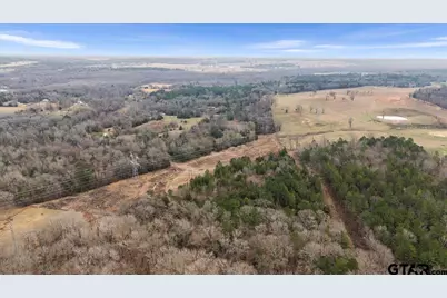 2605 Vz County Road 4923, Ben Wheeler, TX 75754 - Photo 25