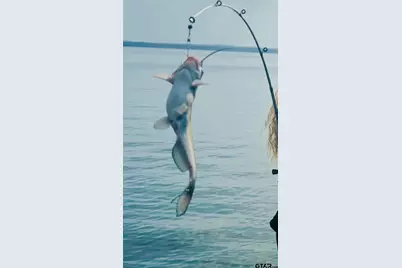 17144 Lakeview Drive, Flint, TX 75762 - Photo 27